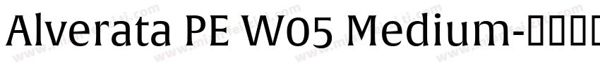 Alverata PE W05 Medium字体转换